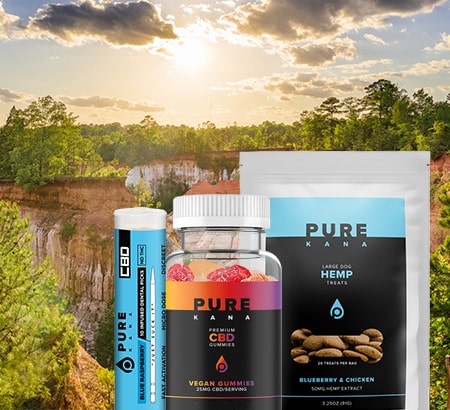 second placeholder state image