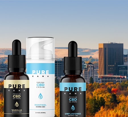 second placeholder state image