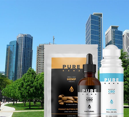 second placeholder state image