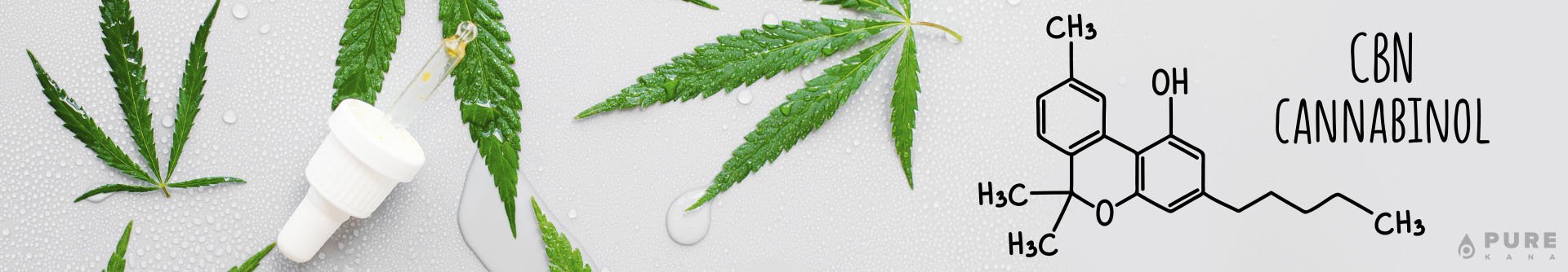 CBN Dosage: A Complete Guide