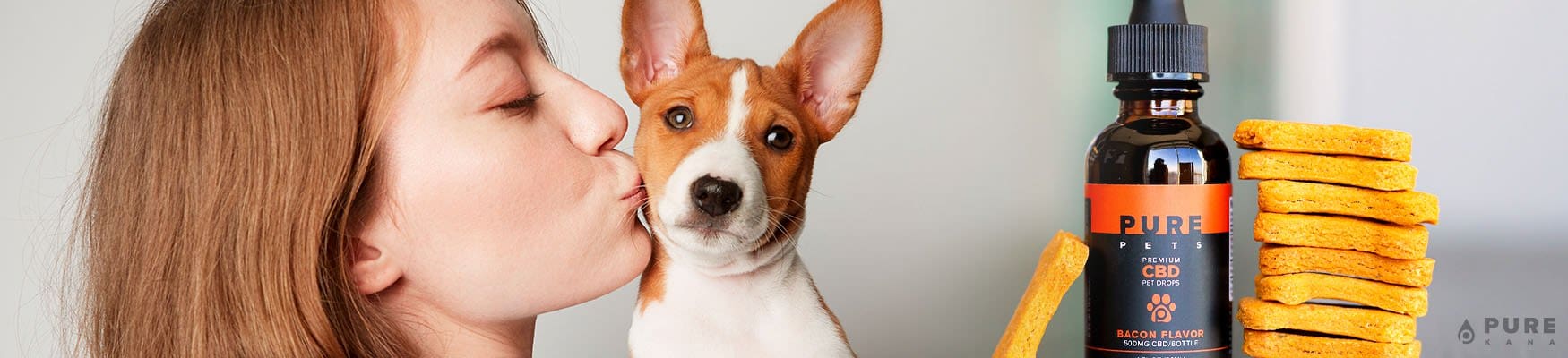 Is CBD for Pets Safe?