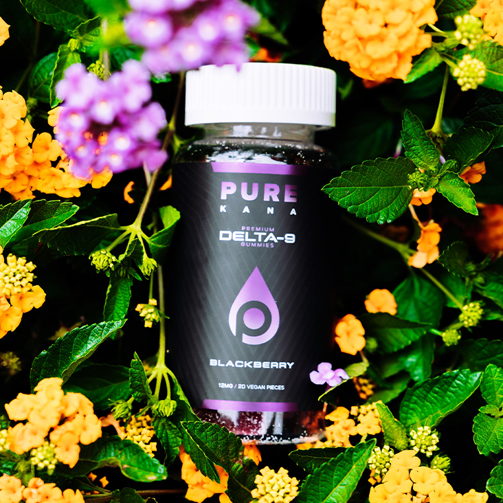 pk-d9-gummies-blackberry