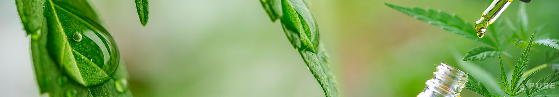 How to Avoid Fake or Poor-Quality CBD Hemp Oils