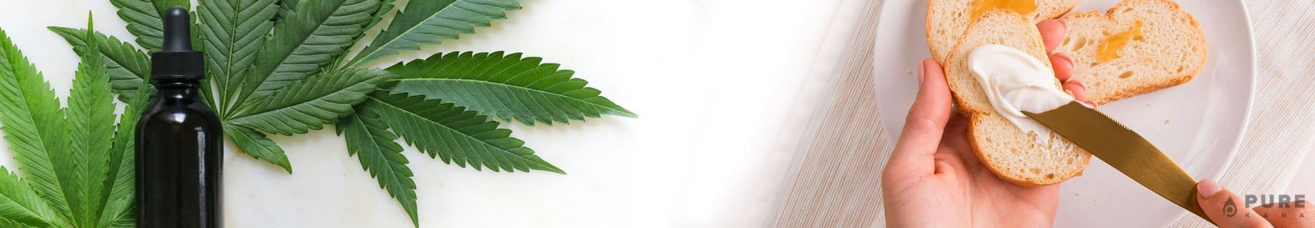 Tips for Cooking with CBD Oil (Plus Recipes to Try!)