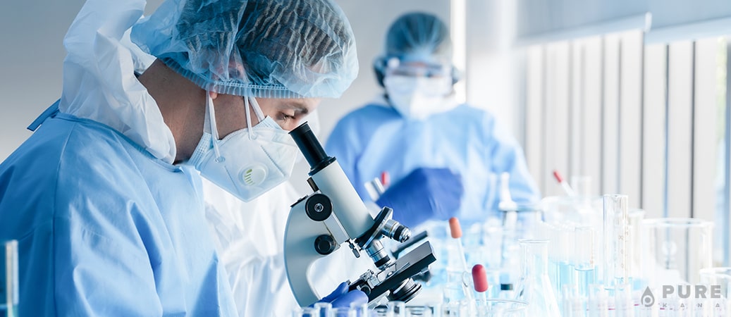 wol-why-Is-cbd-so-expensive-Lab-Testing-and-Certification