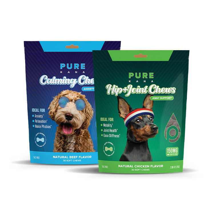 CBD Dog Treats for Mobility and Anxiety image